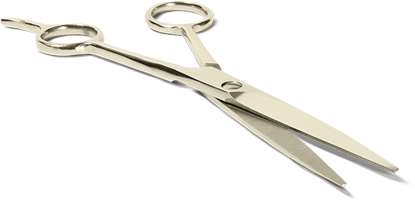 Master Barber - Hairdresser (600x290), Png Download