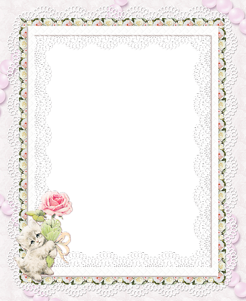 Transparent Frames - Picture Frame (490x600), Png Download