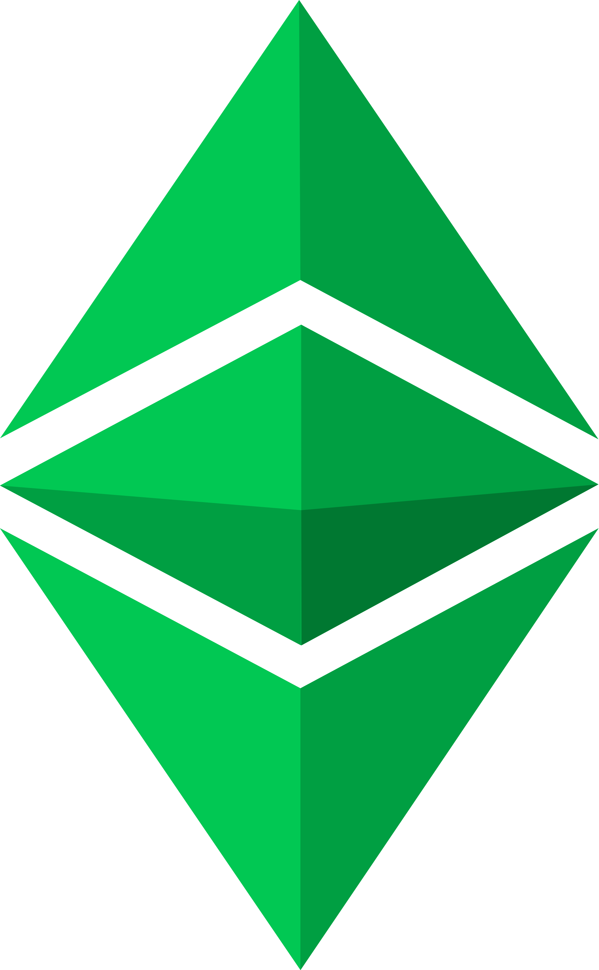 But, Just Getting Omni Cryptocurrency Reddit Btcc Ethereum - Ethereum Classic Logo Png (2000x3236), Png Download