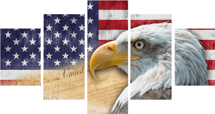Defender Of The Freedom American Flag Canvas Prints - Flag Of The United States (800x800), Png Download
