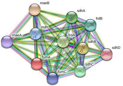 Circle (975x326), Png Download