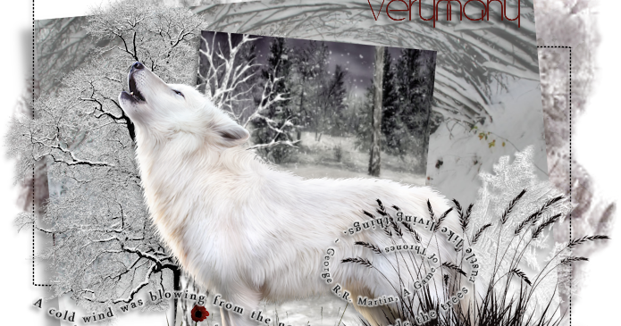 Arctic Fox (695x365), Png Download