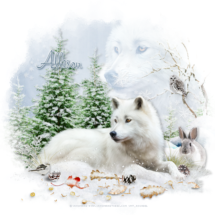 For My Tag With Wolf I Used Kits By Newlife Dreams - Dog (700x700), Png Download