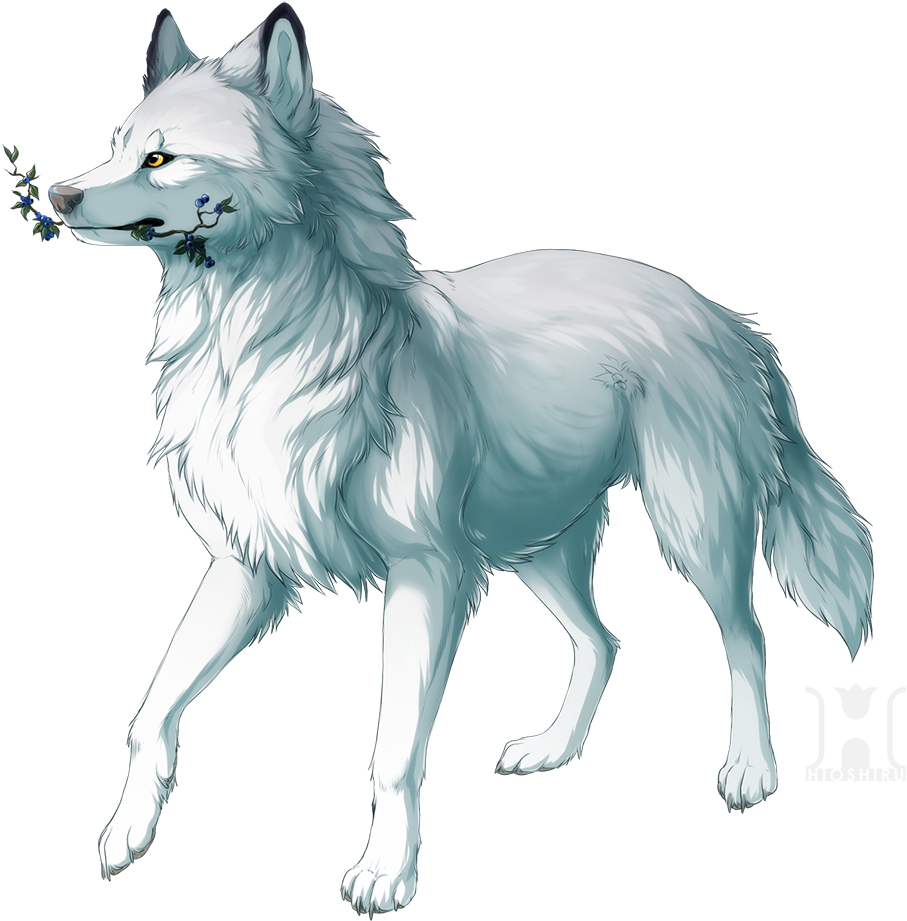 Wolf And Blueberries (1000x1042), Png Download