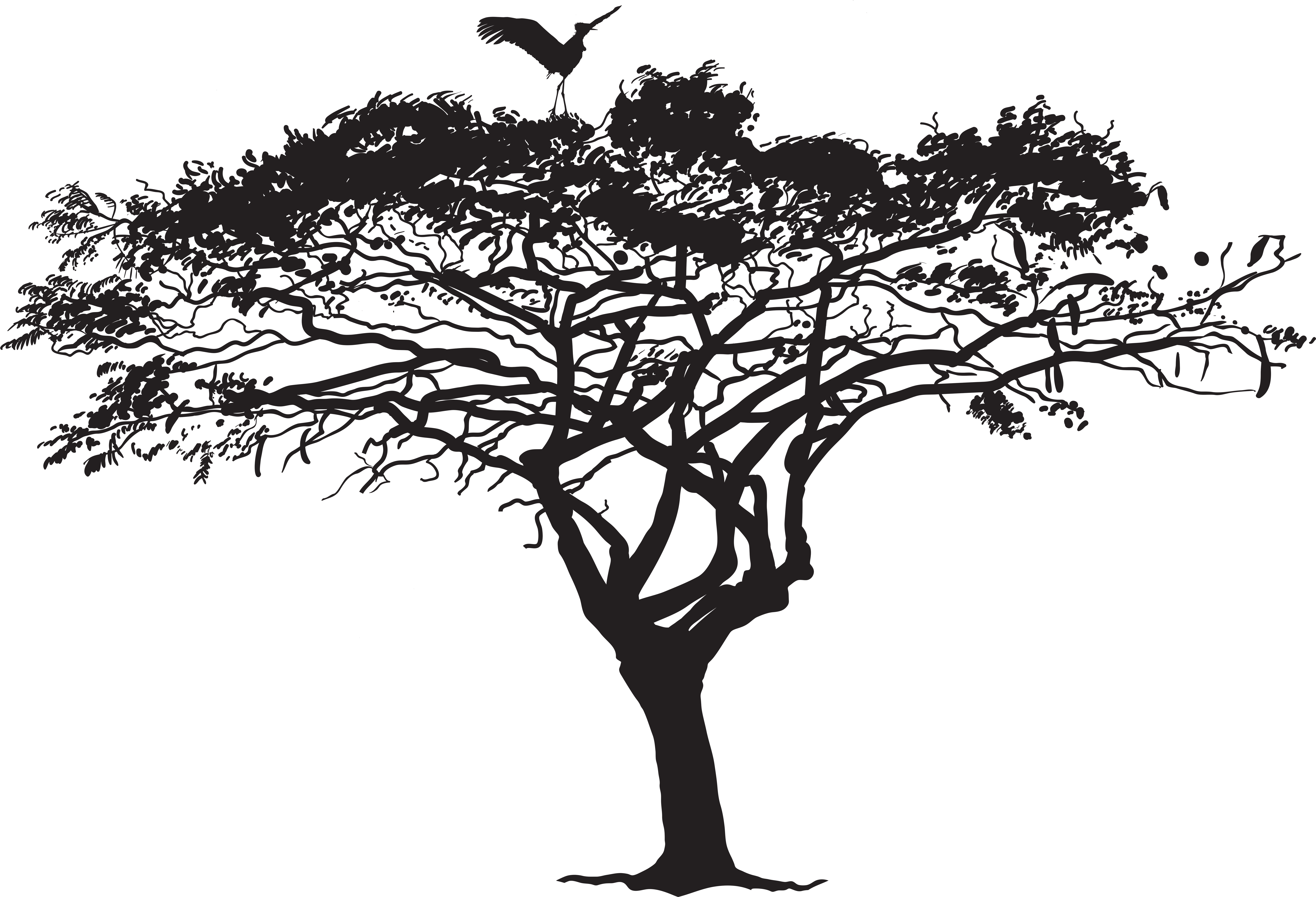 Exotic Tree And Bird Silhouette Png Clip Art Image - Tree Birds Silhouette Png (8000x5441), Png Download