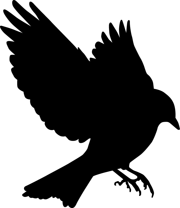 Bluebird In Flight Silhouette Blue Bird, Silhouette - Blue Bird Flying Silhouette (743x859), Png Download