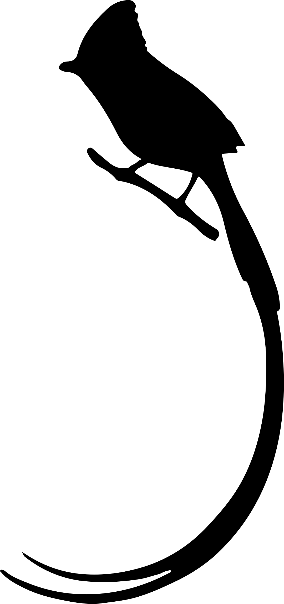Long Tailed Silhouette - Long Tail Bird Png (1080x2296), Png Download