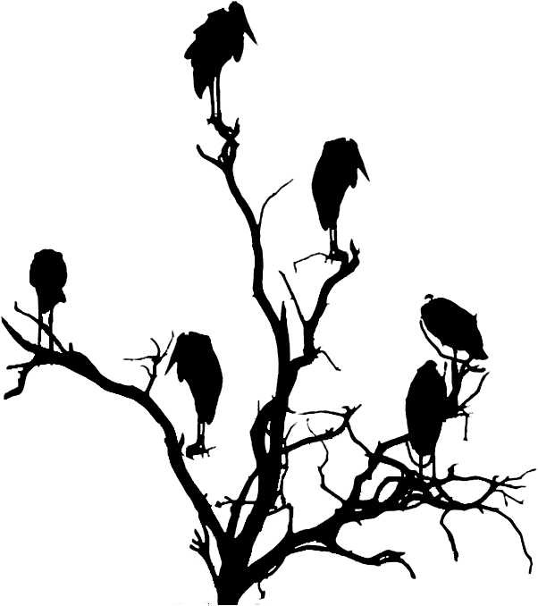 Vultures In A Tree Silhouette Halloween Art Ideas - Silhouette Tree Transparent Clipart (698x877), Png Download