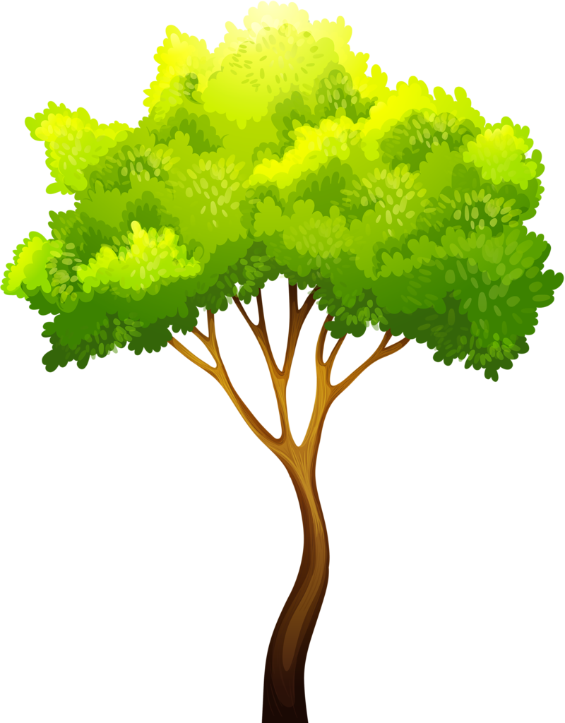 Фото, Автор Soloveika На Яндекс - Swing Under The Tree Clipart (800x1024), Png Download
