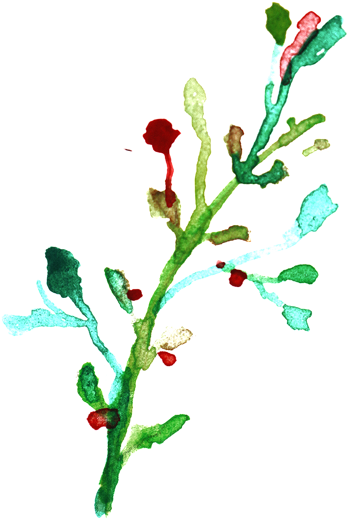 Png Transparente De Color Ramas De Flores Ornamentales - Watercolor Painting (1024x1222), Png Download