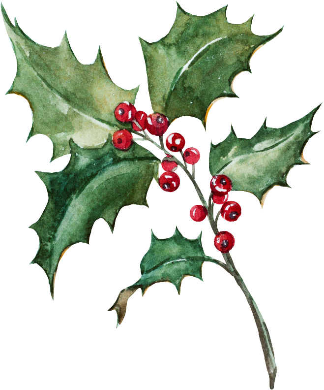 Este Gráficos Es Ramas De Navidad Navidad Png Transparente - Queenie - 2 Pcs Christmas Series Thick Cotton Linen (1024x1024), Png Download