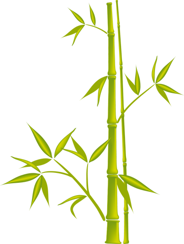 Bamboo Bathroom Sticker 1728 - Free Vector Bamboo (374x494), Png Download