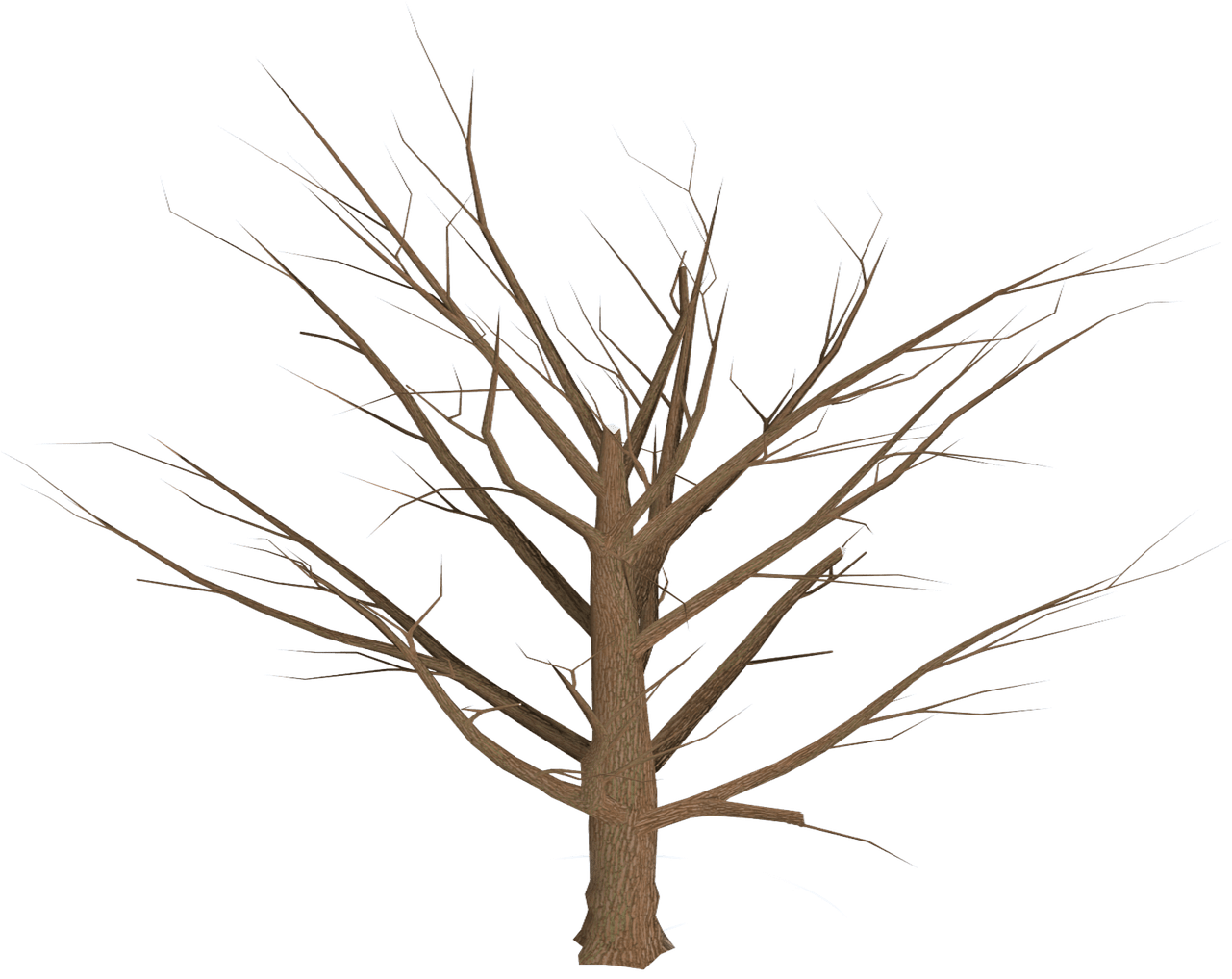 Descargar - Ramas Arbol Png (1280x1028), Png Download