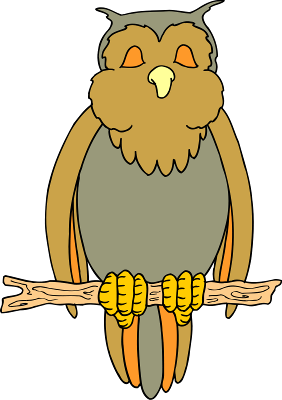 Animated Moving Owls (564x800), Png Download