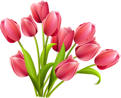 Leaf Flowers, Art Flowers, Flower Art, Painting Flowers, - Pink Tulips Flowers Png (500x404), Png Download
