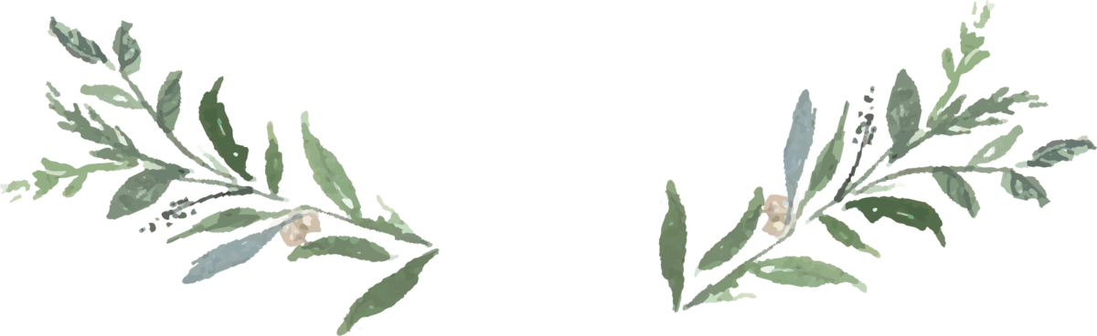 28 Collection Of Greenery Clipart Transparent - Greenery Clipart Transparent (1200x368), Png Download