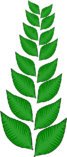 Mb Image/png - Cartoon Leaves And Vines (250x500), Png Download