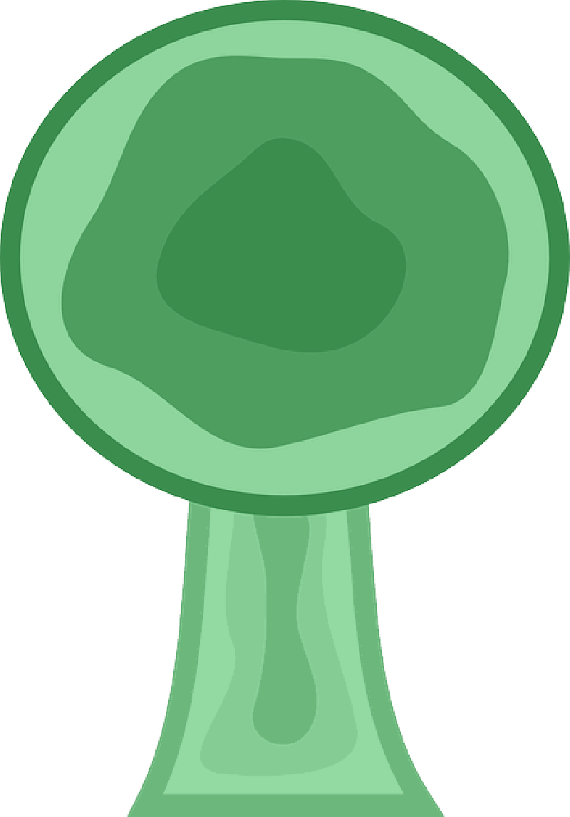 Mb Image/png - Vector Graphics (800x1147), Png Download