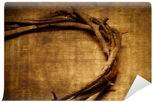 Crown Of Thorns (400x400), Png Download