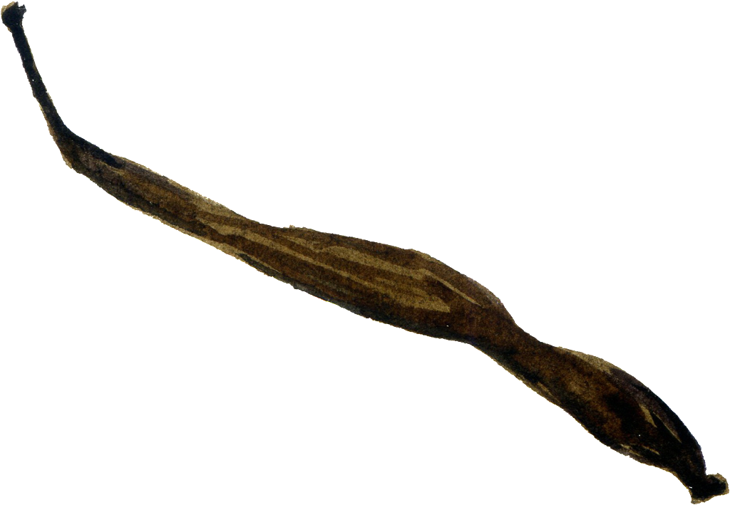 Brown Black Foliage Cartoon Transparent - Driftwood (1024x709), Png Download