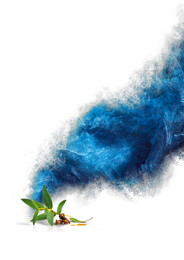 View The Range - Watercolor Paint (600x849), Png Download