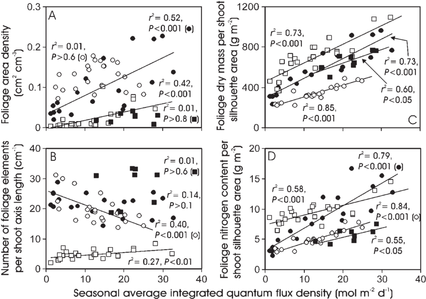 Foliage Area Density , Number Of Needles Per Shoot - Diagram (850x597), Png Download