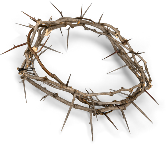 Crown Thorns Png Clip Art Freeuse - Crown Of Thorns Transparent Background (550x478), Png Download