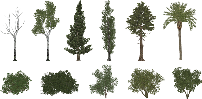 Zoo Tycoon 2 Foliage (682x332), Png Download