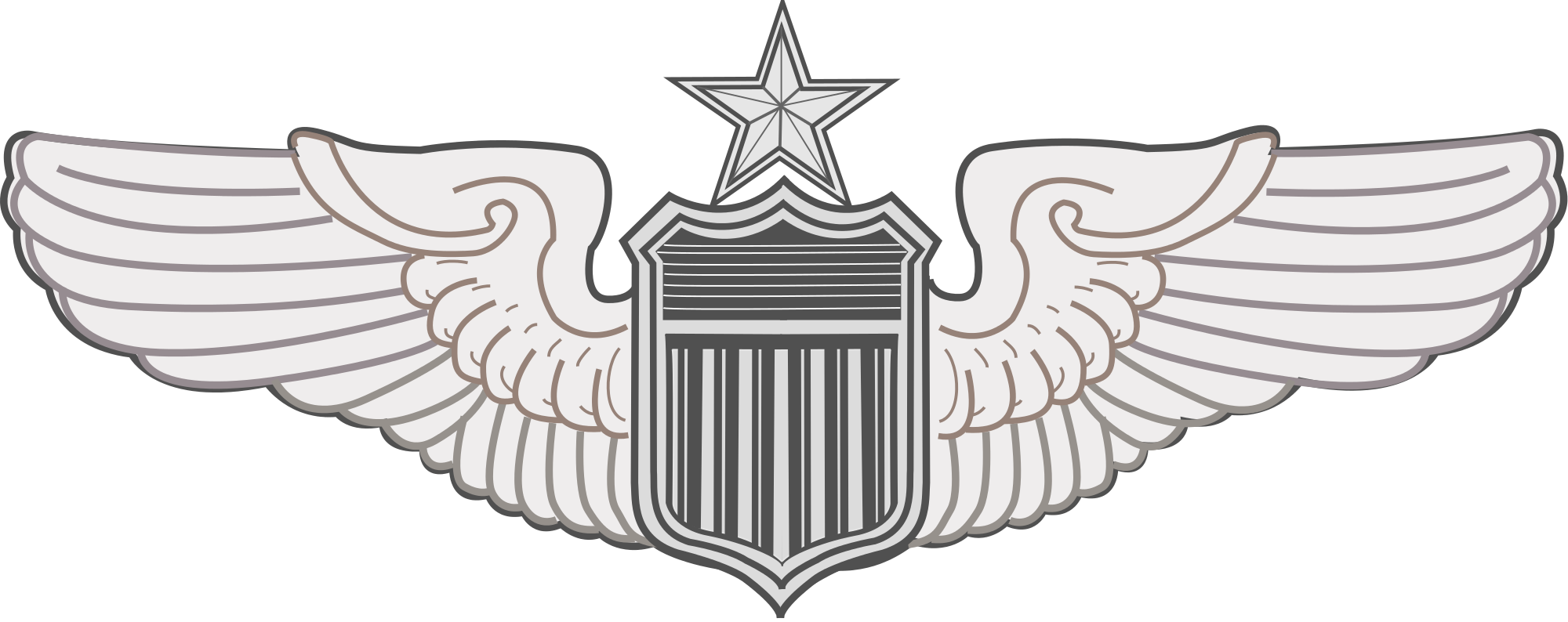 Open - Air Force Nav Wings (2000x794), Png Download