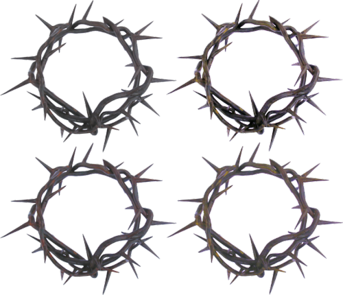 Crown Png Tumblr Crown Of Thorns - Crown Of Thorns Png (500x430), Png Download