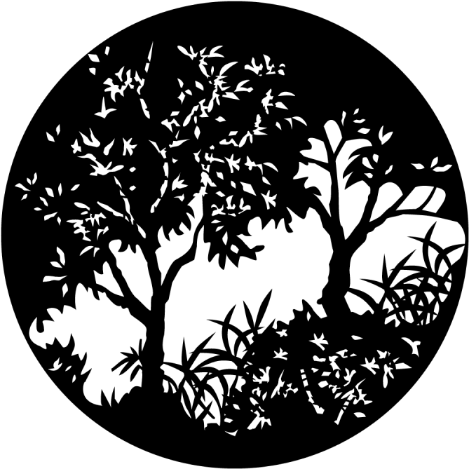 Trees With Foliage - Gobos Tree (800x800), Png Download