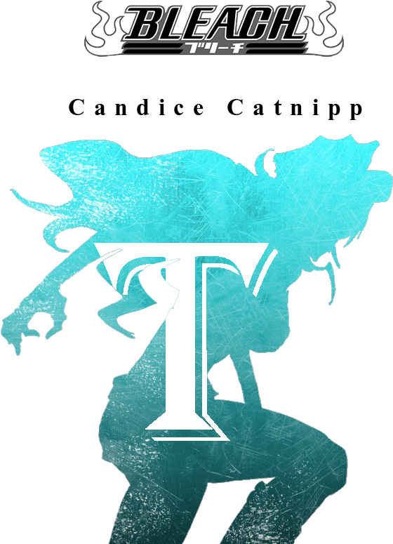 Quincy Candice Catnipp(t The Thunderbolt) - Bleach Sternritter Silhouette (700x800), Png Download
