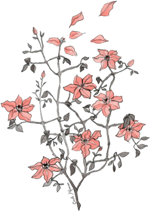 Arabella Flower Drawing Tumblr, Flower Drawings, Tumblr - Flower Drawing Transparent (500x500), Png Download