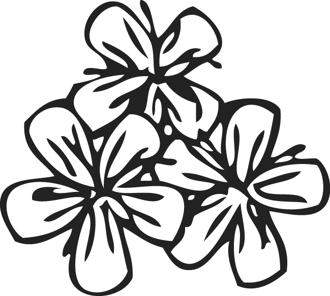 Pattern By Trudos On - Flower Pattern White Png (649x583), Png Download