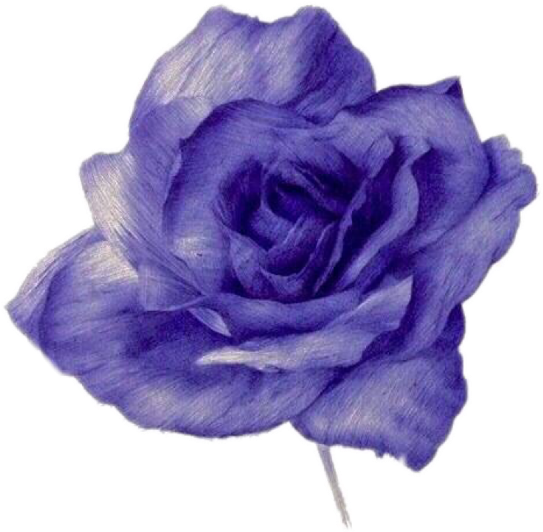 Flower Flowers Blue Watercolor Tumblr - Instagram (1024x1024), Png Download