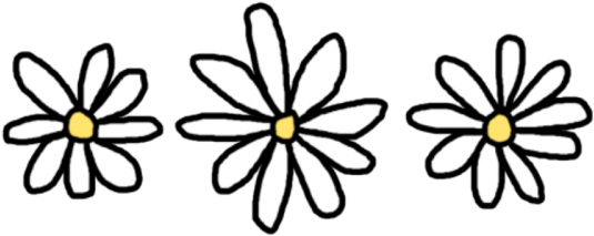 I Am Wrong For Thinking That De Could Be Something - Daisy Drawing Transparent (500x300), Png Download