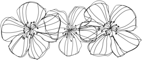 Flowers, Overlay, And Transparent Image - Transparent Black And White Flowers Tumblr Png (500x288), Png Download