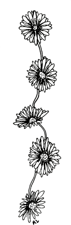 Tumblr Transparent Starbucks Google Search Tumblr Transparents - Flower Chain Drawing (241x750), Png Download