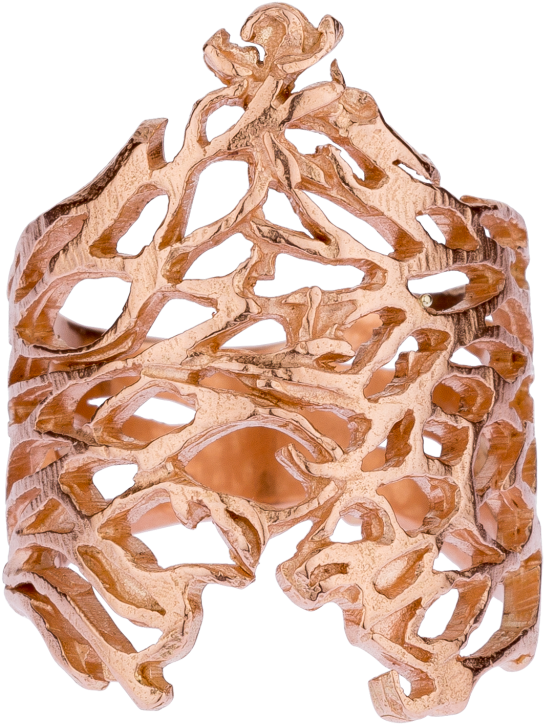 Thorn Bush Rings - Ring (1024x1024), Png Download