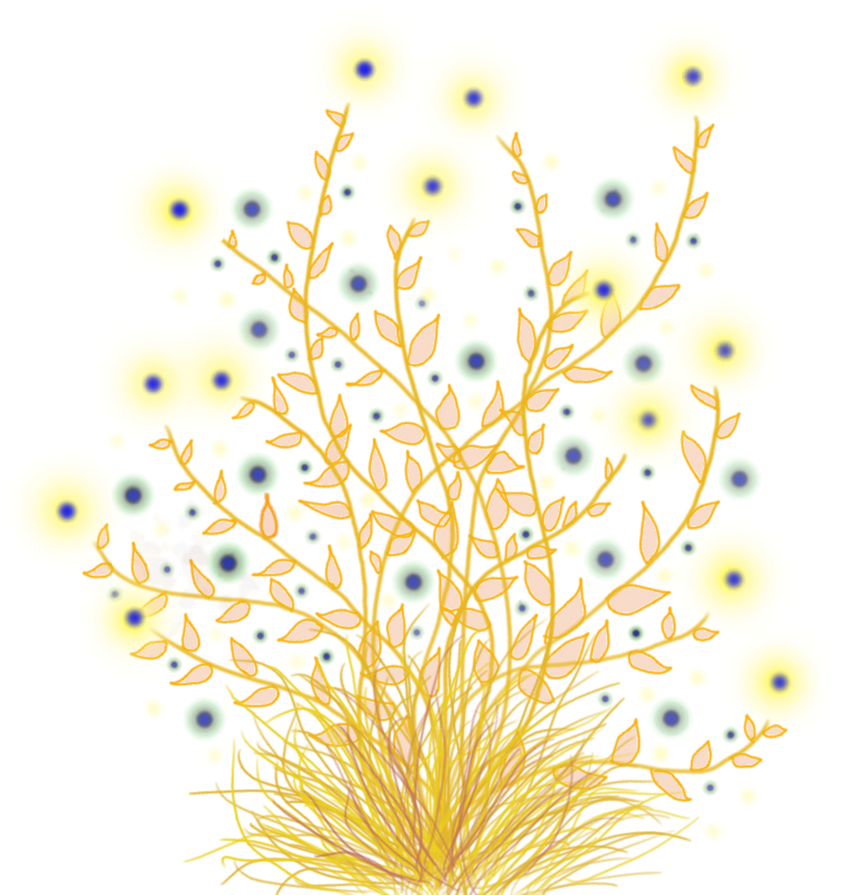 Transparent Yellow Flowers - Yellow Flowers Png Transparent (894x894), Png Download