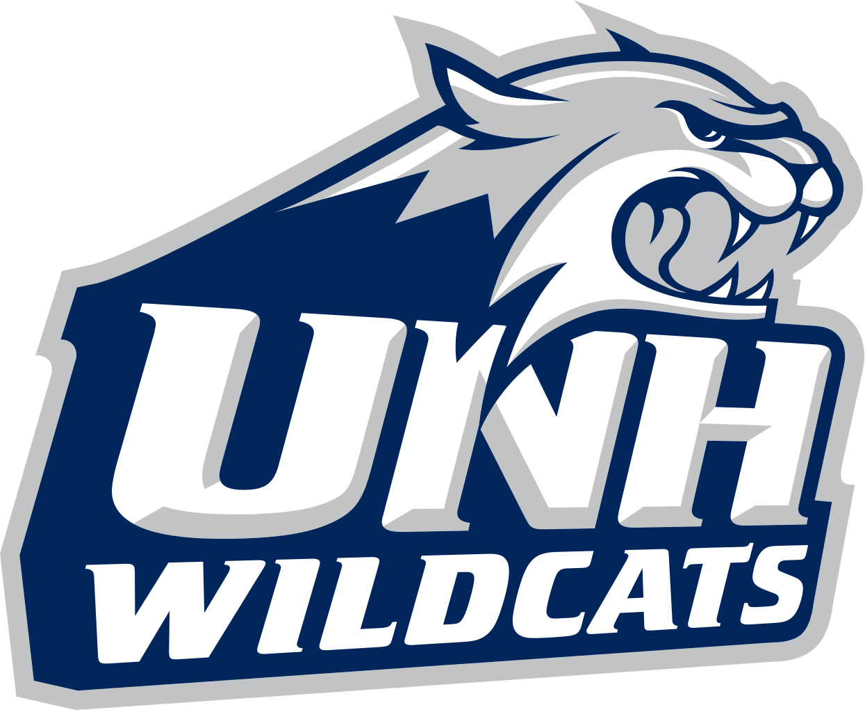 University Of New Hampshire Wildcats, Ncaa Division - University Of New Hampshire Wildcats Logo (1245x1024), Png Download