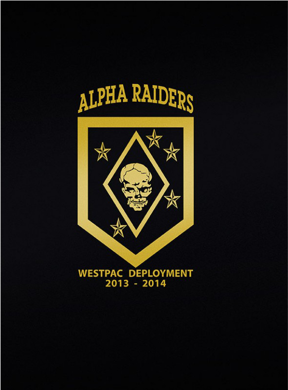 Alpha Raiders - - Alpha Company 1 4 Raiders (800x800), Png Download