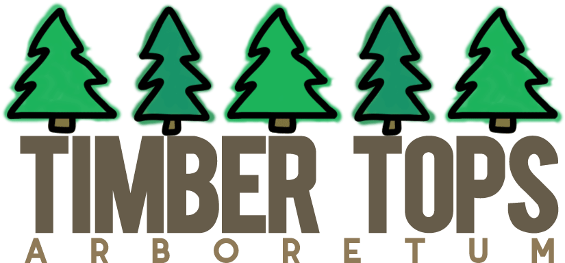 Timber Tops Arboretum - Christmas Tree (1100x1100), Png Download