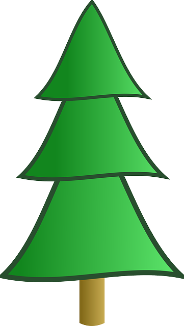 This Graphics Is Fir Tree Clipping About Chinese Fir,pine - Fir Tree Clipart (336x594), Png Download