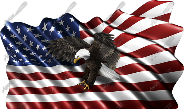 American Flag With A Egal (600x357), Png Download