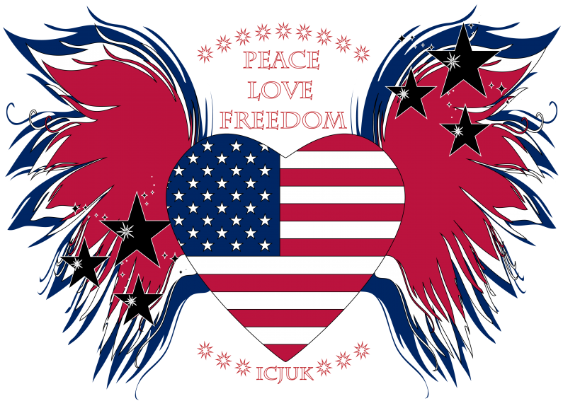The Icjuk Usa Heart & Wings Peace Love Freedom Unisex - United States Of America (800x574), Png Download