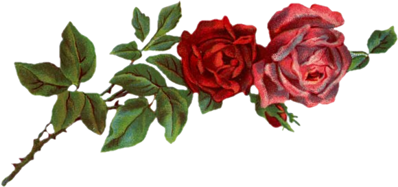 Red Flower Crown Transparent Liked On Polyvore Featuring - Red Flowers Tumblr Png (629x285), Png Download