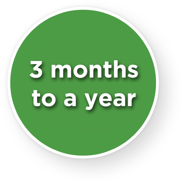 3 Months To A Year - Circle (1000x915), Png Download