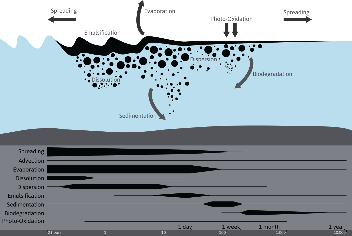 Fate Of Oil At Sea And Modelled Processes - Oil Dissolution Oil Spills (1430x959), Png Download