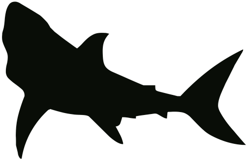 Drawn Shark Transparent - Shark Stencil (514x340), Png Download